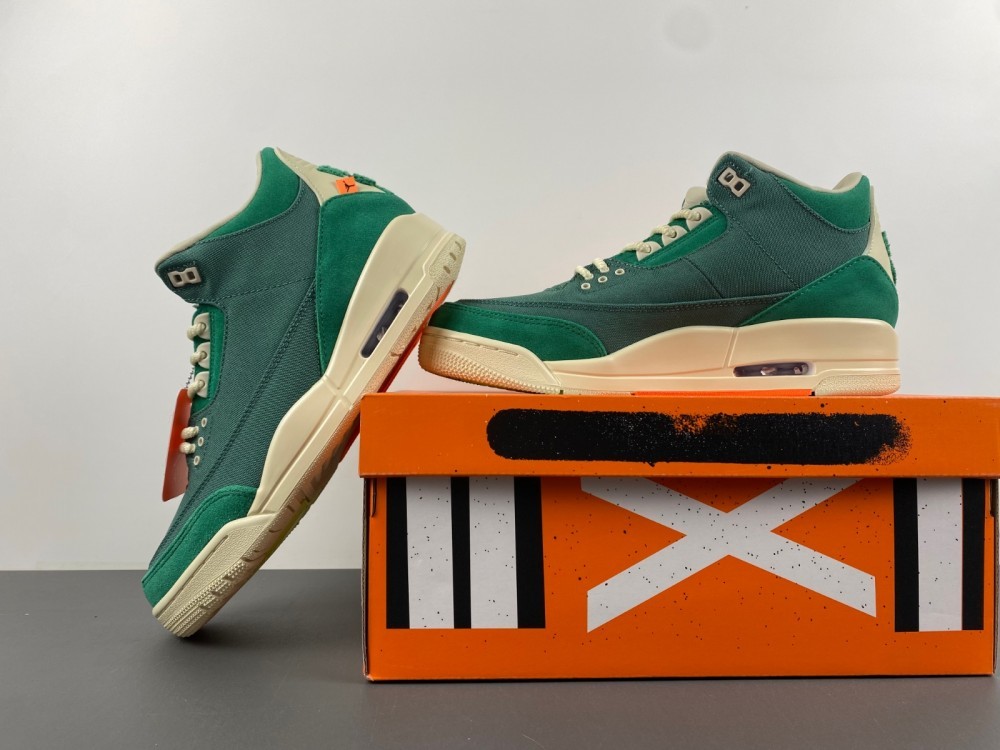 Air Jordan 3 Retro SP × Nina Chanel Abney「Bicoastal」