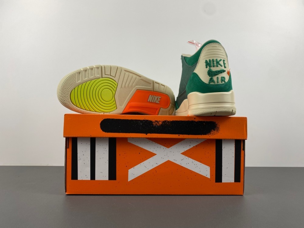 Air Jordan 3 Retro SP × Nina Chanel Abney「Bicoastal」